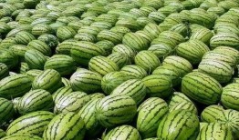 51今日吃瓜热门大瓜入口往期,回顾往期热门大瓜，揭秘娱乐圈幕后真相