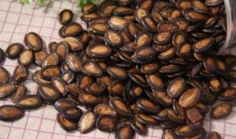 吃瓜是吃瓜子嘛图片,揭秘“吃瓜”背后的瓜子之谜