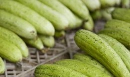 减肥可以吃黑皮瓜,天然低卡美食，轻松享瘦新选择