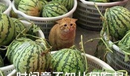 找别人瓜吃,从“找别人瓜吃”看社交心理