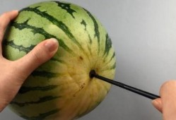 筷子吃瓜,探寻传统美食中的文化韵味