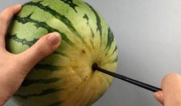 筷子吃瓜,探寻传统美食中的文化韵味