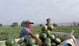 利川最新吃瓜,揭秘当地热门事件背后的真相