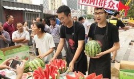 辽宁朝阳吃瓜事件,一场网络舆论的风暴与反思