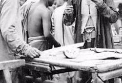 辽宁朝阳吃瓜事件,一场网络舆论的风暴与反思