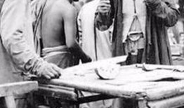 辽宁朝阳吃瓜事件,一场网络舆论的风暴与反思