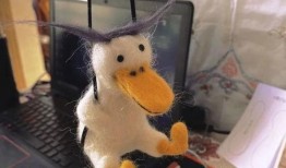 抓鸭子吃瓜,一场欢乐的乡村盛宴