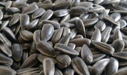 吃瓜是吃瓜子嘛图片,揭秘“吃瓜”背后的瓜子之谜