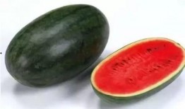 吃饭和吃瓜的区别,一窥饮食文化的别样风景