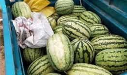 派出所民警吃瓜,见证人间百态