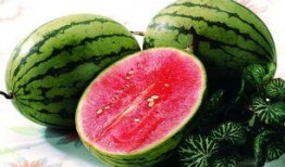 贝贝瓜和西瓜能一起吃吗,能否共食的探讨