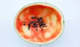 吃瓜 勺子,揭秘娱乐圈背后的秘密武器