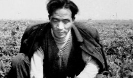 焦裕禄带孩子吃瓜,一段感人至深的吃瓜故事