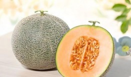 找别人瓜吃,从“找别人瓜吃”看社交心理