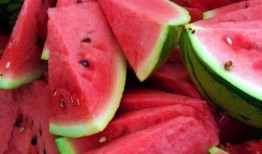 夏天吃瓜君,跟随“吃瓜君”探索夏日瓜果盛宴