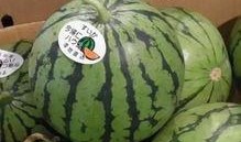 炫炫吃瓜,揭秘娱乐圈幕后故事