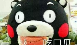 吃瓜群众准吗,吃瓜群众视角下的娱乐圈风云