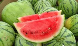 贝贝瓜和西瓜能一起吃吗,能否共食的探讨